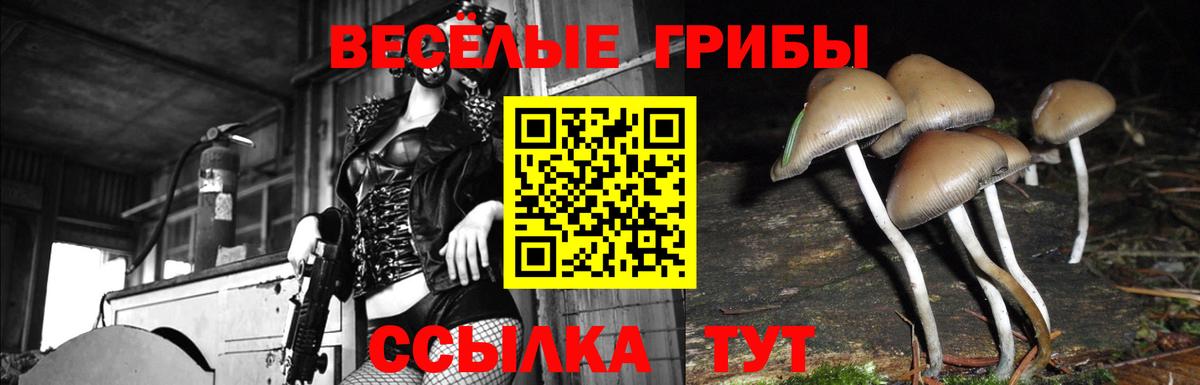 Галлюциногенные грибы Magic Shrooms Усть-Кут